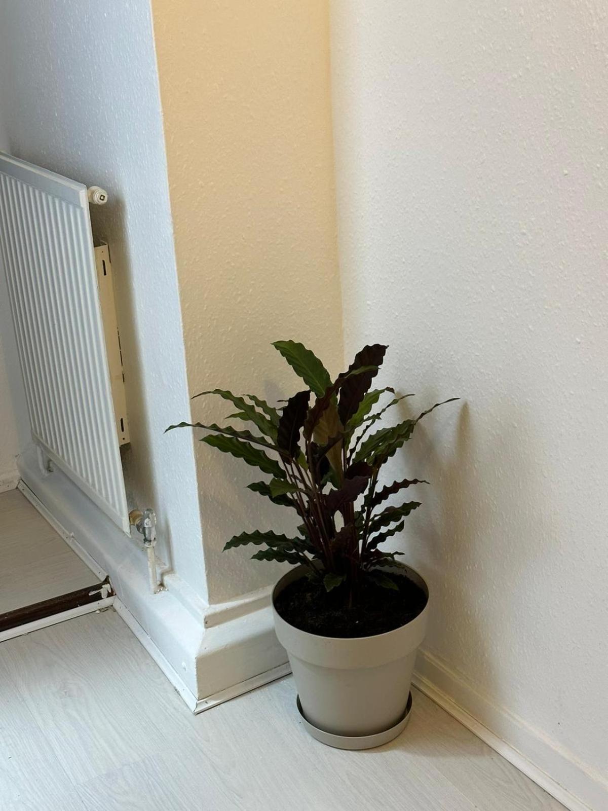 3 Bedroom King Cross Station City Centre לונדון מראה חיצוני תמונה